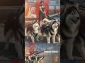 Dahaa CoolieOST SuperstarRajinikanth SunPictures Lokesh Anirudh Shorts