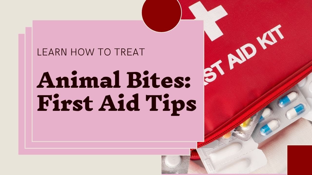 Animal Bites First aid!
