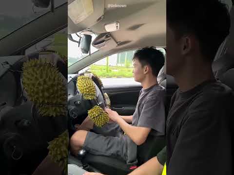 🚗💥 ¡El Peor Alumno de Conducción! 😱😂