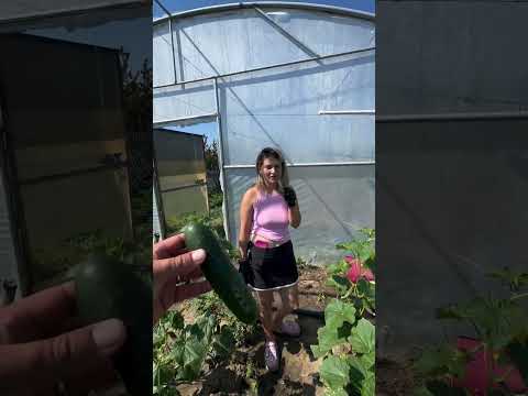 Vuvu si Sotia la Solar #funny #shorts