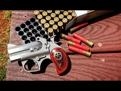 Bond Arms .45 Colt/ .410 Shotshell