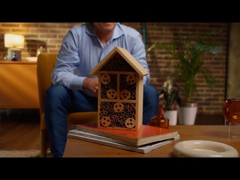 Anteprima video