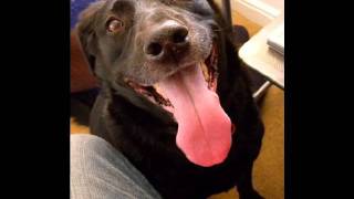 Geoff Muldaur -- Having a Wonderful Time