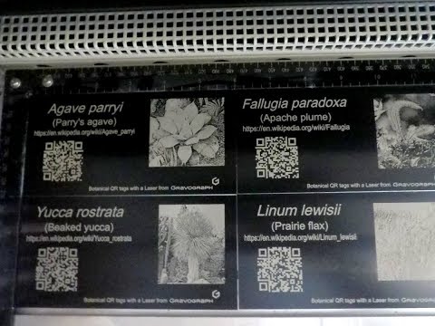 Dia 13–Laserkaiverruskone LS100EX CO2  40W  610x305mm (video)