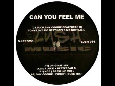 DJ Luck Feat. Tony Love, MC Neat, Kofi B & MC Supplier – Can You Feel Me