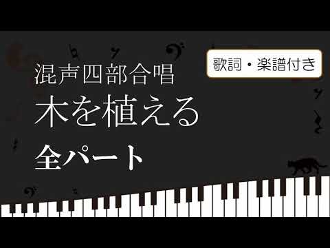 桜の石を植える – それは可能ですか? トピックス
