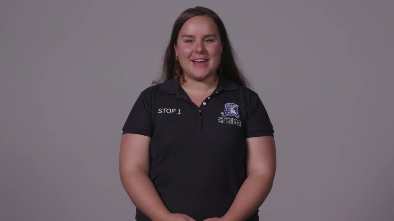 Understanding your fees