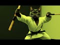 Cat Kung Fu Show