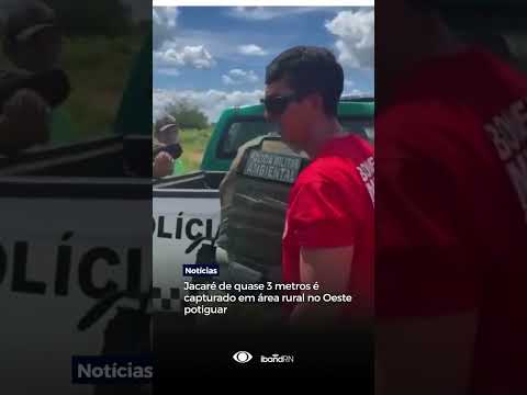 Jacaré de quase 3 metros é capturado no interior do Rio Grande do Norte #shorts