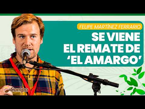 LITORAL CAMPO | Cabaña El Amargo: Genética Braford premiada y rústica en el remate de Tostado