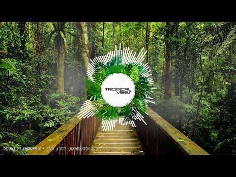 DJ ANI FT UNKNOWN M  JACK A DIT MOOMBAHTON