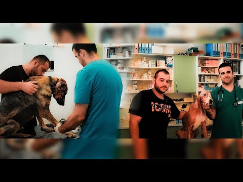 Liona Kommt nach Hause und Malika wird untersucht