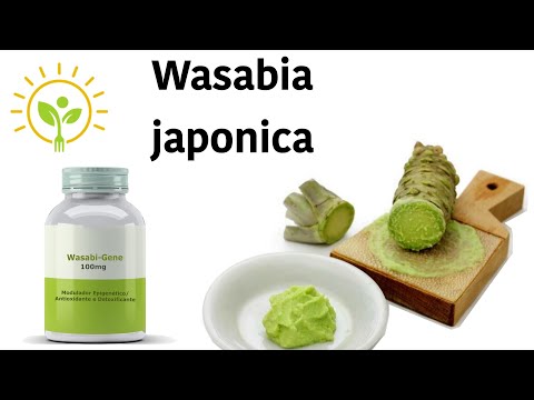 Suplemento antiinflamatório, que protege o cérebro e ajuda a emagrecer | Wasabi Gene