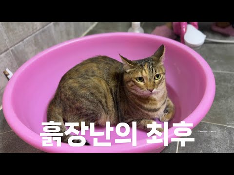 나가서 놀 때는 좋았지. 흙장난의 최후