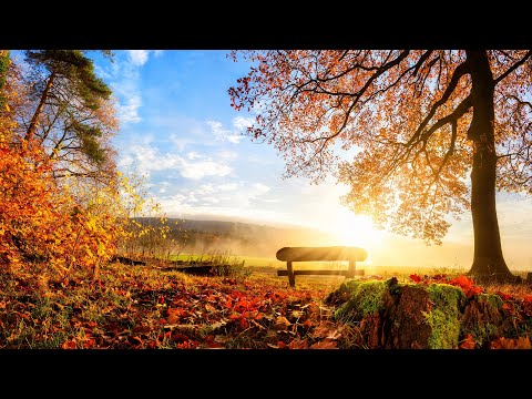 Música para Estudiar, Concentrarse e Inspirarse ☯ Música para Trabajar mas Concentrado