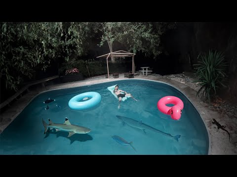 Luke Laughs - Saturday night (Prod. Beefy808) Official Video