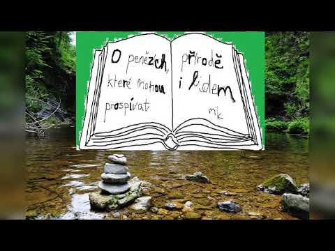 Kniha Jazyk nepoznaný: peníze