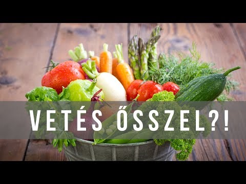 hogyan férgek mint egy bika a férgektől