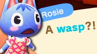 What Rosie Does with WASPS in Animal Crossing