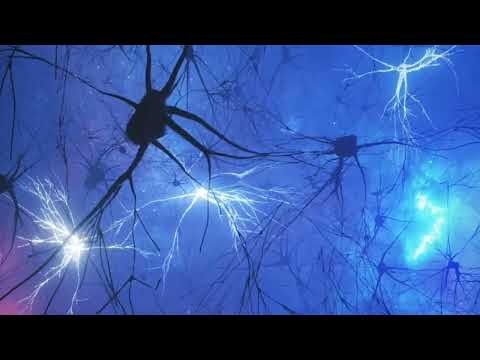 MAJESTYX Omniverse Romance Fantasy 2024 (II) - Meditation Beauty (529)