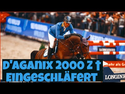 Tragischer Verlust: D'Aganix 2000 Z nach Unfall eingeschläfert – Christian Ahlmann trauert