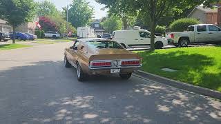 1968 Shelby GT500 Fastback Rear End