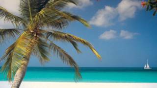 Honeypot - Friday Night