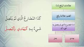 صورة شرح نظم الآجرومية مع التشجير //21//الشيخ محمد محمود الشنقيطي