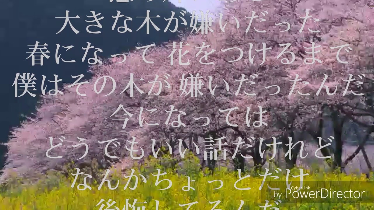 amazarashi さくら