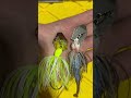 Is it OVERRATED? Bass Fishing Edition: Part 1 The Evergreen Jackhammer Chatterbait #bassfishing