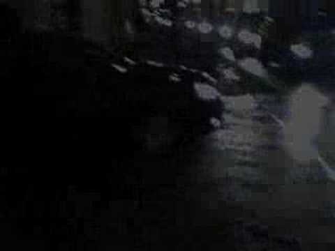 jón f og haukur  sumarfrí