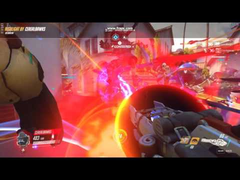 Harambe dies for team