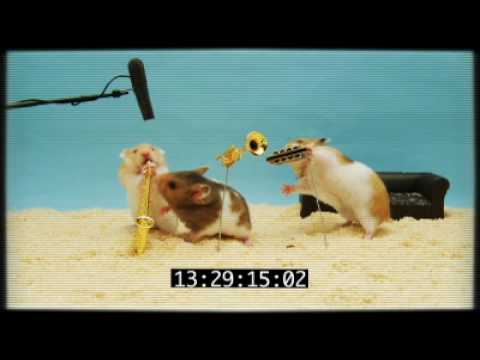 The Three Burrito's Clever Hamster Audition - Take 2