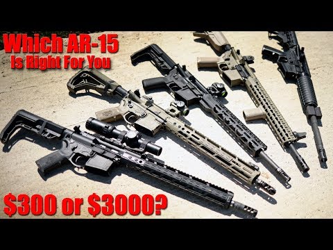 Del-Ton Sierra 316L Full Review: Budget AR-15 You Can Count On