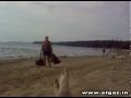 Кукуруза Руза Руза / Ruza-Ruza 