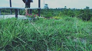 Download lagu FourTwnty - Zona Nyaman Ost . Filosofi Kopi 2 mp3