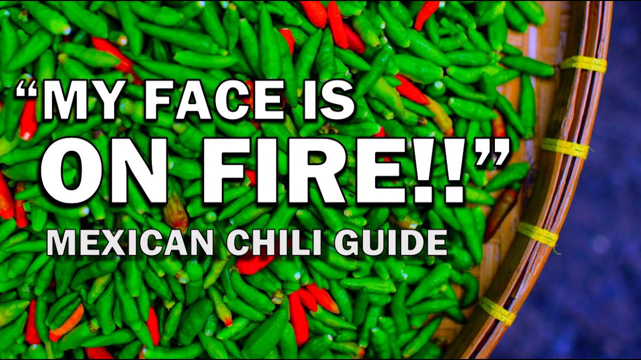 MEXICAN CHILIES!! 【TOTAL Beginners Guide!】