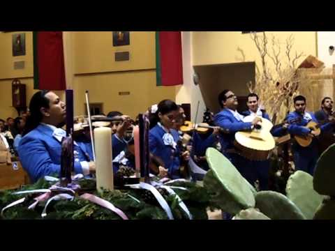TATIANA con 'MARIACHI VOZ DE AMERICA' - Mañanitas a la Virgen de Guadalupe