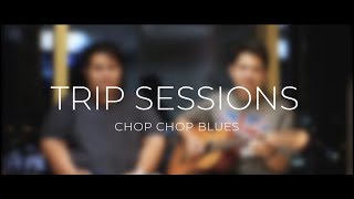 Bita and The Botflies - Chop Chop Blues (cover)