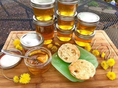 download lagu mp3 mp4 Dandelion Infused Honey, download lagu Dandelion Infused Honey gratis, unduh video klip Dandelion Infused Honey