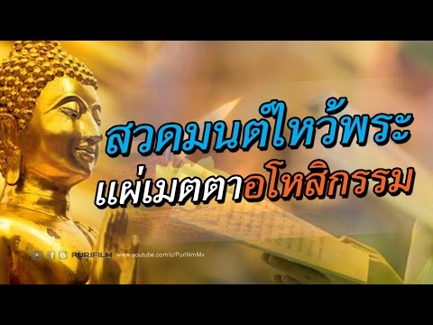 คุณสามารถเลือกความอ่อนแอ ซื้อเชื้อโรคม้าใน Togliatti