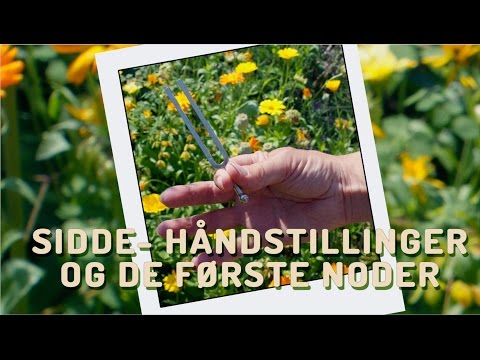 Lær at spille spansk guitar - Sidde, håndstillinger og de første noder