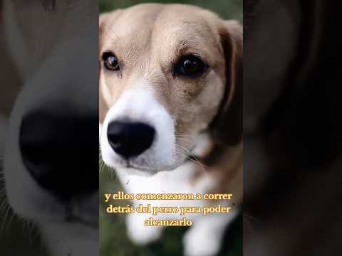 algo pasa en winifreda la pampa  #paranormal #terrorymisterio #miedo