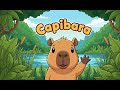 Canción Del Capibara Videos Para Niños Canción Infantil En Español Show Draguin Capybara