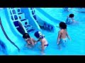 Asil Berkin Aqua Dolphin Keyfi