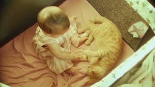 Valentina y Lorenza ginger cat and the baby