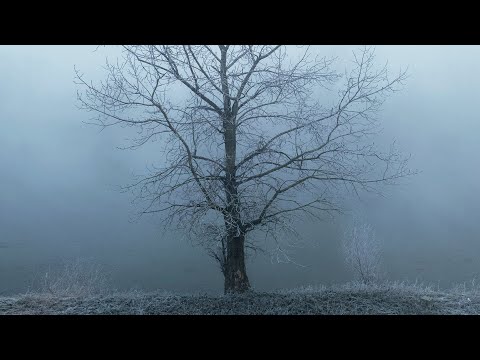 Meine Familie und ihr Henker