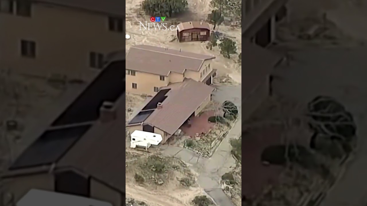 FBI investigating death of a Calgary-born scientist