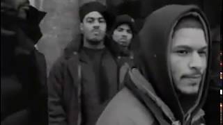 Fat Joe   Shit Is Real