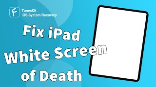 3 Ways to Fix iPad White Screen of Death (2021)
